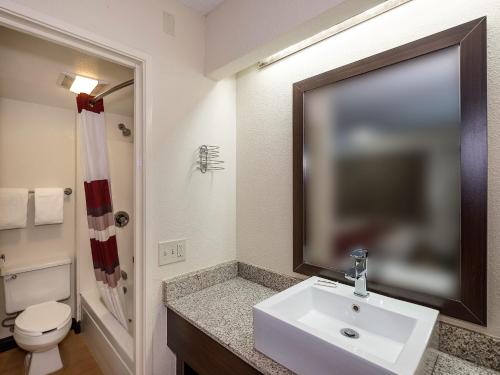 a bathroom with a sink and a toilet at Red Roof Inn Toledo - Maumee in Maumee