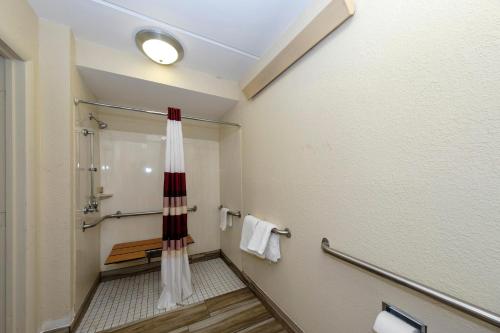 a bathroom with a shower with a shower curtain at Red Roof Inn Tampa - Brandon in Tampa