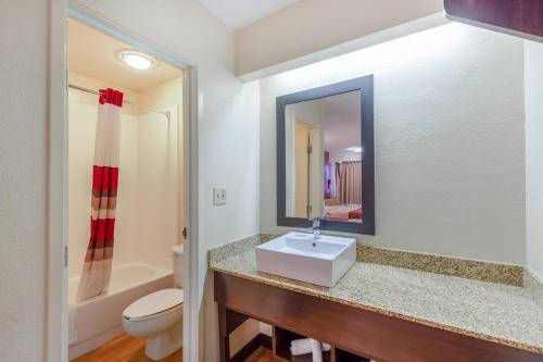 a bathroom with a sink and a toilet and a mirror at Red Roof Inn Kalamazoo East – Expo Center in Kalamazoo