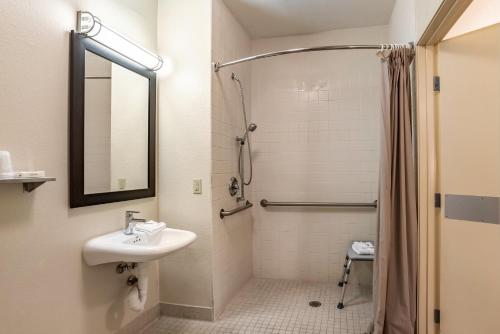 A bathroom at Red Roof Inn PLUS+ Tempe - Phoenix Airport