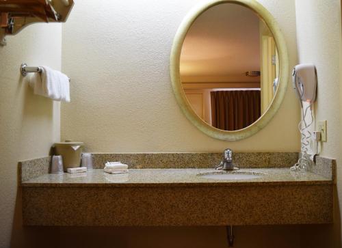 a bathroom with a sink and a mirror at Red Roof Inn Buffalo - Niagara Airport in Williamsville