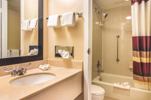 y baño con lavabo, aseo y ducha. en Red Roof Inn Ashtabula - Austinburg, en Ashtabula