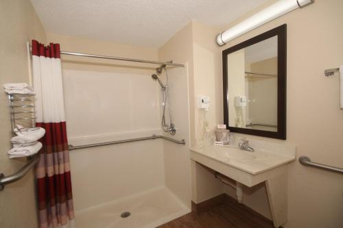 a bathroom with a shower and a sink and a mirror at Red Roof Inn Gaffney in Gaffney