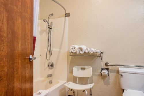 a small bathroom with a toilet and a shower at Red Roof Inn Dumas in Dumas
