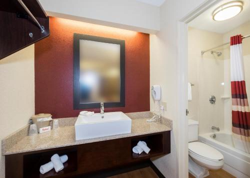 a bathroom with a sink and a toilet at Red Roof Inn PLUS+ Columbus - Dublin in Dublin