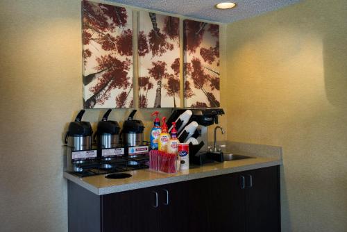 a kitchen with a counter with a stove and a sink at Red Roof Inn PLUS+ Chicago - Willowbrook in Willowbrook