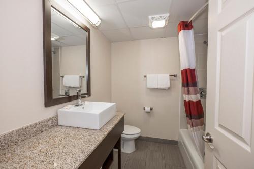 a bathroom with a sink and a toilet and a mirror at Red Roof Inn PLUS+ Poughkeepsie in Poughkeepsie