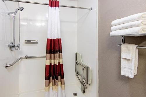 Red Roof Inn Locust Groveにあるバスルーム