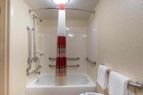 a bathroom with a shower and a bath tub at Red Roof Inn Detroit - Dearborn-Greenfield Village in Dearborn