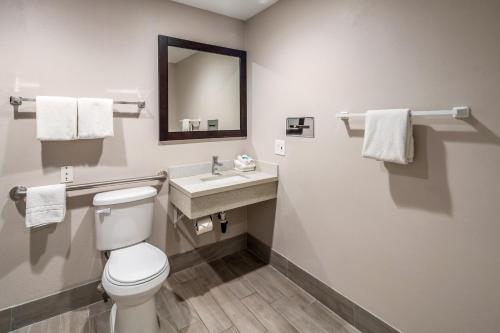 a bathroom with a toilet and a sink and a mirror at Red Roof Inn St George, UT - Convention Center in St. George