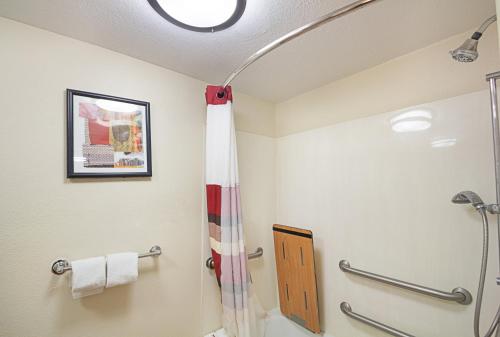 a bathroom with a shower and a shower curtain at Red Roof Inn Madison, WI in Madison