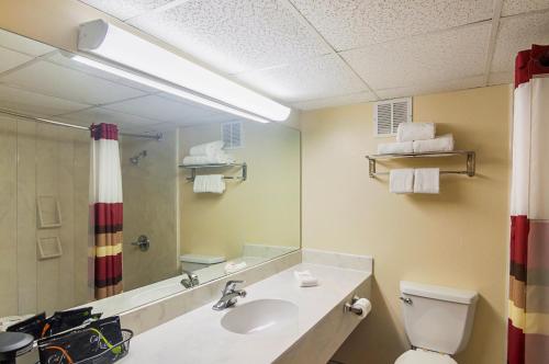 a bathroom with a sink and a toilet and a mirror at Red Roof Inn Lubbock in Lubbock