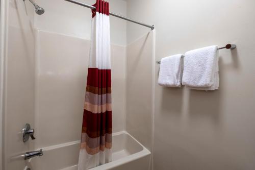 a bathroom with a shower with a shower curtain at Red Roof Inn & Suites Dover Downtown in Dover