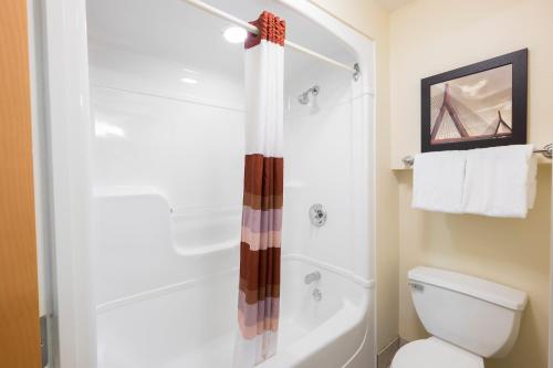 a bathroom with a shower and a white toilet at Red Roof Inn PLUS+ Austin South in Austin