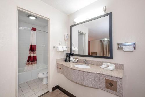 a bathroom with a sink and a mirror and a toilet at Red Roof Inn Abingdon in Abingdon