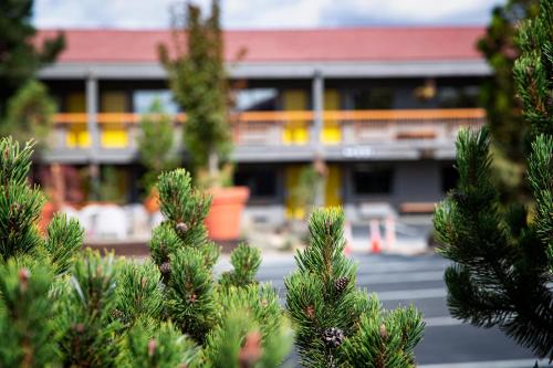 a group of pine trees in front of a building at Campfire Hotel in Bend