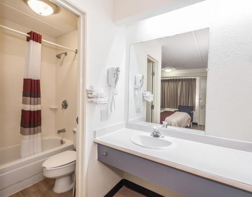 a bathroom with a sink and a toilet and a mirror at Red Roof Inn Atlanta-Norcross in Norcross