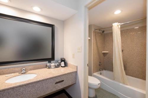 y baño con lavabo, aseo y ducha. en Red Roof Inn Mobile North – Saraland, en Saraland