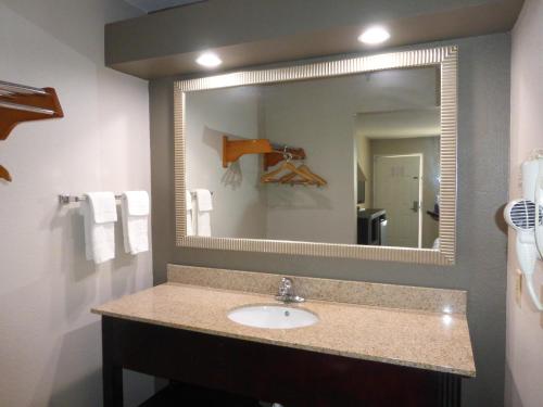 La salle de bains est pourvue d'un lavabo et d'un miroir. dans l'établissement Red Roof Inn Columbia, TN, à Columbia
