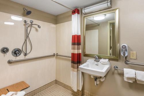 a bathroom with a sink and a mirror at Red Roof Inn Kalamazoo West - Western Michigan U in Kalamazoo
