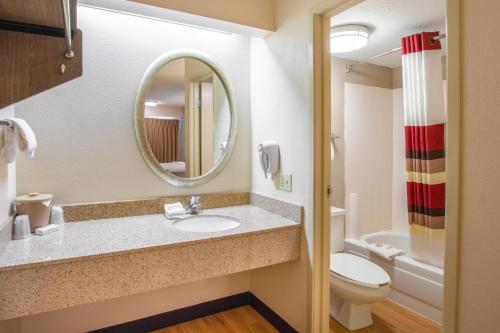 a bathroom with a sink and a toilet and a mirror at Red Roof Inn Kalamazoo West - Western Michigan U in Kalamazoo