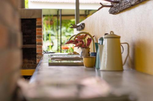 a table with a tea kettle and a plant on it at Poponé Farm & Lodge in Guápiles