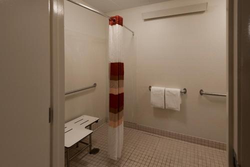 a bathroom with a shower curtain and a sink at Red Roof Inn Detroit - Troy in Troy