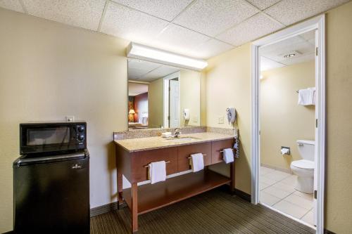 a bathroom with a sink and a microwave at Red Roof Inn Vincennes in Vincennes