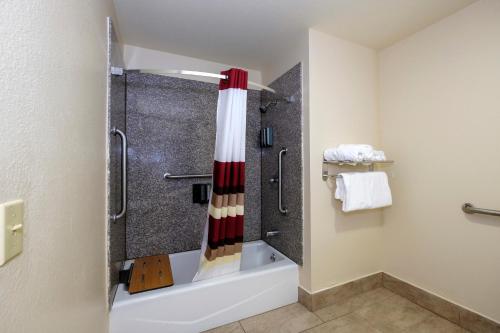 Ein Badezimmer in der Unterkunft Red Roof Inn PLUS+ Hammond