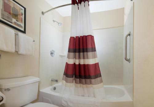 a bathroom with a shower curtain next to a toilet at Red Roof Inn Hilton Head Island in Hilton Head Island