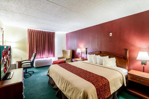 a hotel room with a large bed and a red wall at Red Roof Inn Morehead in Morehead