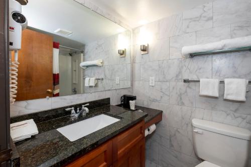 a bathroom with a sink and a toilet and a mirror at Red Roof Inn Fulton in Fulton
