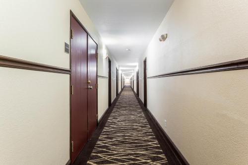 an empty hallway with doors and a carpeted corridor at Red Roof Inn Dry Ridge in Dry Ridge