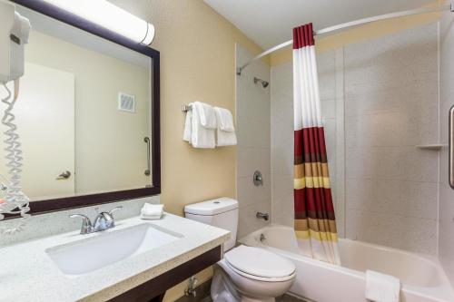 a bathroom with a sink and a toilet and a shower at Red Roof Inn Dry Ridge in Dry Ridge