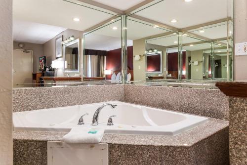a bathroom with a sink and a large mirror at Red Roof Inn Morton Grove in Morton Grove