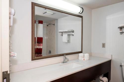 斯塔福德的住宿－斯塔福德紅頂酒店，一间带水槽和大镜子的浴室