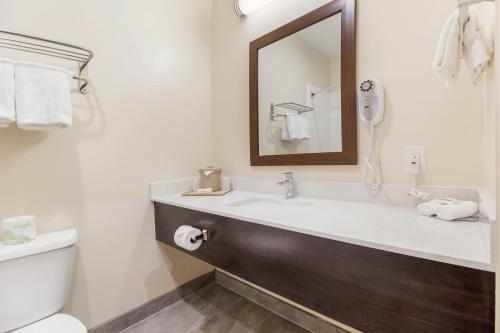 a bathroom with a sink and a toilet and a mirror at Red Roof Inn Houston - Willowbrook in Houston