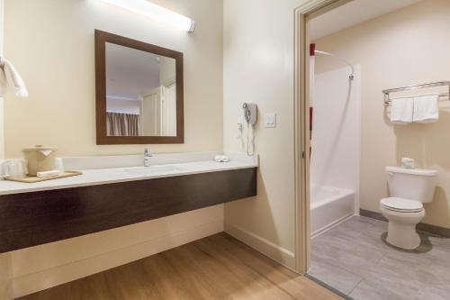 a bathroom with a sink and a toilet and a mirror at Red Roof Inn Houston - Willowbrook in Houston