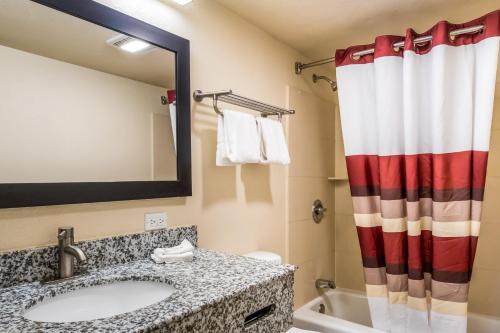 シカゴにあるRed Roof Inn Chicago-Alsipのバスルーム(シンク、シャワーカーテン付)