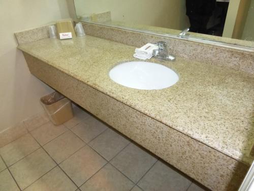 a bathroom counter with a sink and a mirror at Red Roof Inn Memphis - Airport in Memphis