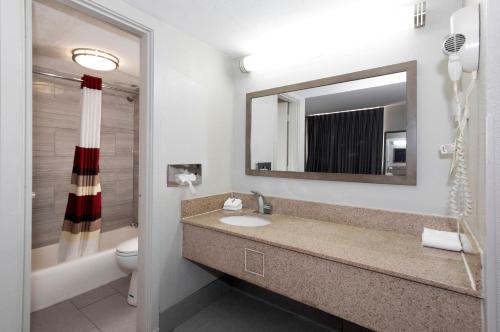 A bathroom at Red Roof Inn Petersburg - Fort Lee