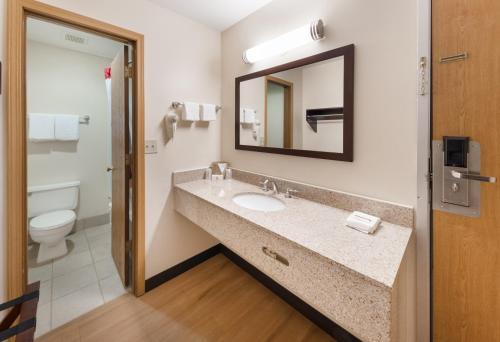 a bathroom with a sink and a toilet at Red Roof Inn Fort Wayne in Fort Wayne