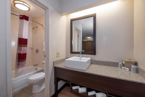 a bathroom with a sink and a toilet and a mirror at Red Roof Inn Washington DC-Lanham in Lanham
