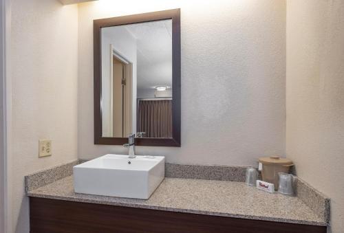 a bathroom with a white sink and a mirror at Red Roof Inn Washington DC-Lanham in Lanham