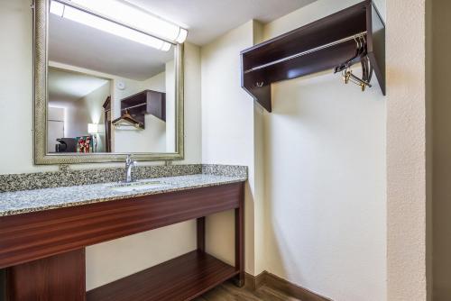 a bathroom with a sink and a mirror at Red Roof Inn Caryville in Caryville