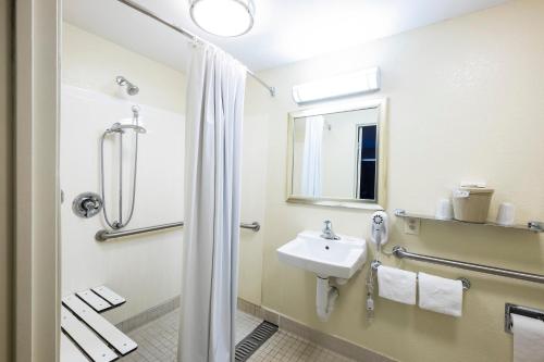 a bathroom with a sink and a shower at Red Roof Inn Boston - Southborough/Worcester in Southborough