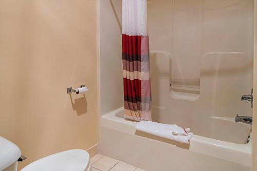 Ванна кімната в Red Roof Inn & Suites Lake Orion / Auburn Hills