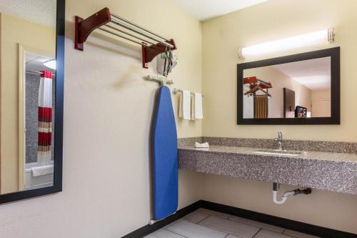 a bathroom with a sink and a mirror at Red Roof Inn Cincinnati Airport–Florence/ Erlanger in Erlanger