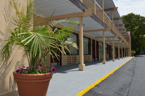 a building with potted plants on the side of it at Red Roof Inn Williamsburg in Williamsburg