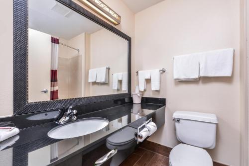 La salle de bains est pourvue d'un lavabo, de toilettes et d'un miroir. dans l'établissement Red Roof Inn & Suites Danville, IL, à Danville